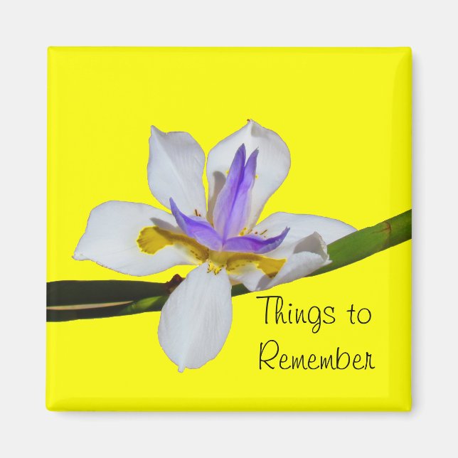 Íman Magnet - Fortnight Lilly (Frente)