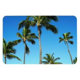 Íman Magnet Fotográfico de Árvores de Coco Havaianas