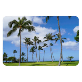 Íman Magnet Fotográfico de Árvores de Coco Havaianas