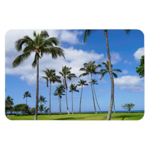Íman Magnet Fotográfico de Árvores de Coco Havaianas