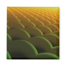 Magnet Fractal Scales