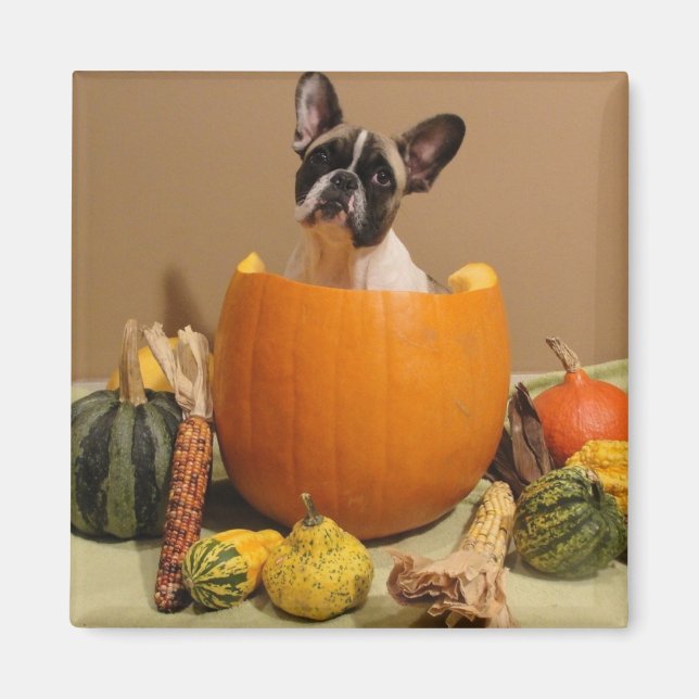 Íman Magnet französische Bulldogge Halloween (Frente)
