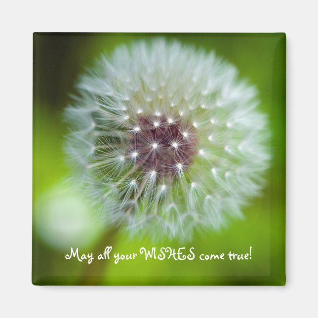 Íman Magnet Frigorífico Dandelion (Frente)