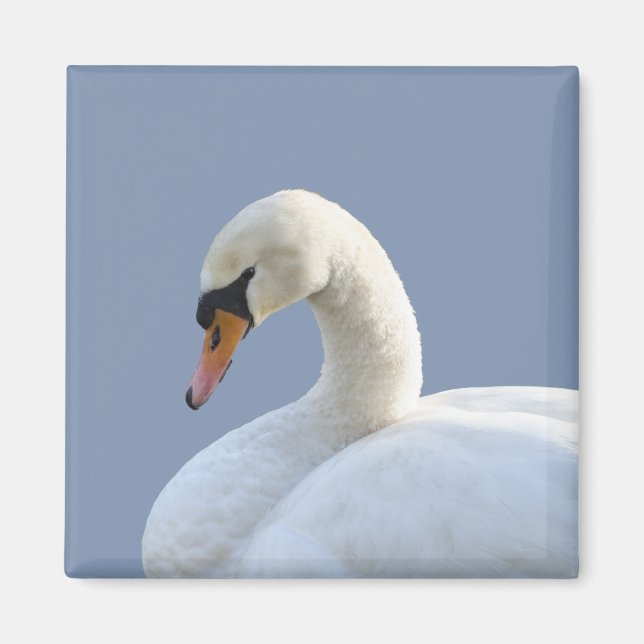 Íman Magnet Frigorífico de Swan Branco (Frente)