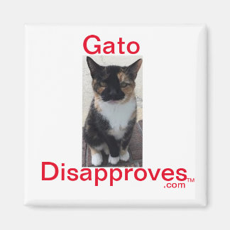 Íman Magnet, Gato Desaprova