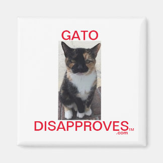 Íman Magnet, Gato Desaprova, Todos os Bonés