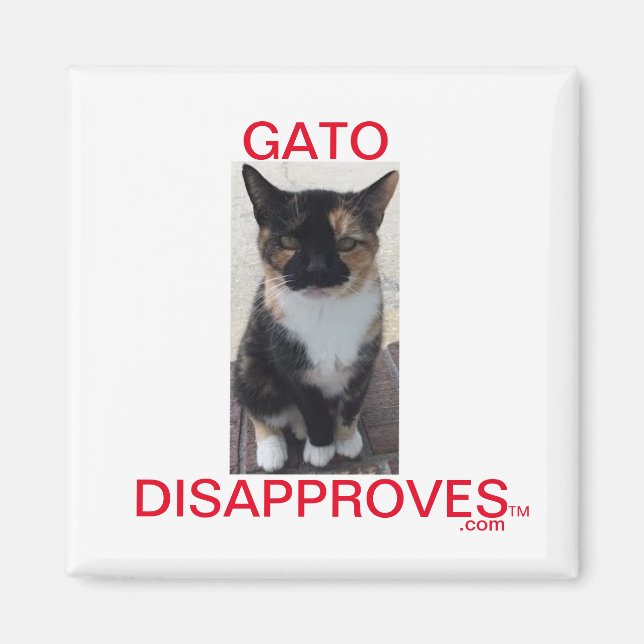 Íman Magnet, Gato Desaprova, Todos os Bonés (Frente)