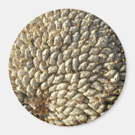 Íman Magnet - Geometria do girassol