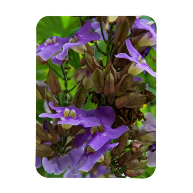 Íman Magnet - Ginger Azul (Vertical)