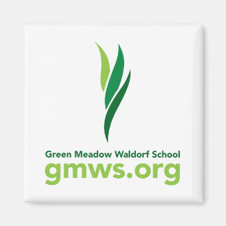 Íman Magnet GMWS