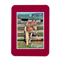 Magnet Gram Deluxe Edition