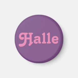Íman Magnet Halle