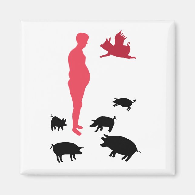 Íman Magnet Happy Meal Vegeterian (Frente)