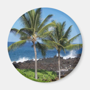 Íman Magnet Havaiano