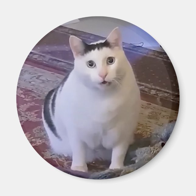 Íman Magnet Huh Cat Meme (Frente)