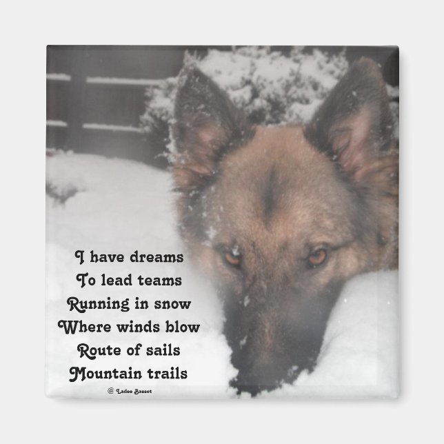 Íman Magnet I Have Dreams Poem By Ladee Basset (Frente)