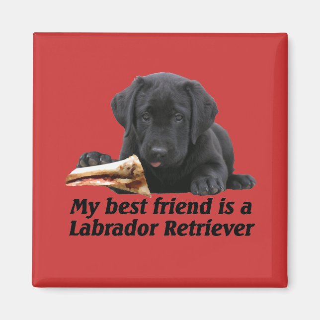 Íman Magnet "Labrador Retriever" (Frente)