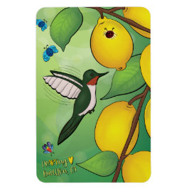 Íman Magnet - Limonada