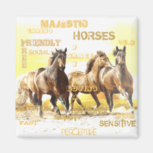 Íman Magnet Maiestoso para cavalos