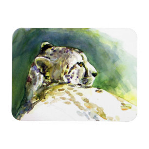 Íman Magnet Majestoso Cheetah Premium