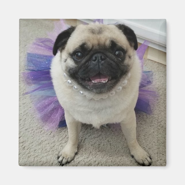 Íman Magnet Maylene (Frente)