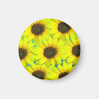 Íman Magnet mit gelben kleinen Sonnenblumenblüten