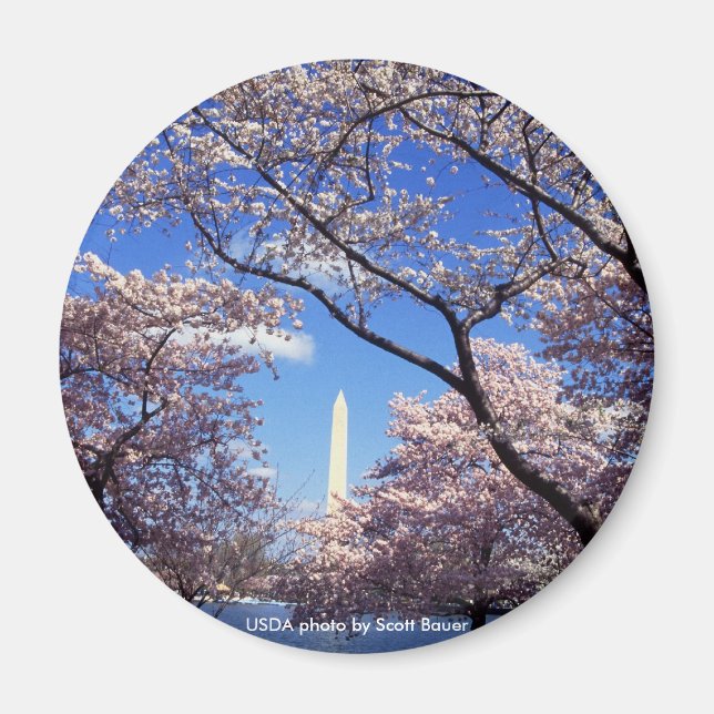 Íman Magnet / Monumento de Washington (Frente)