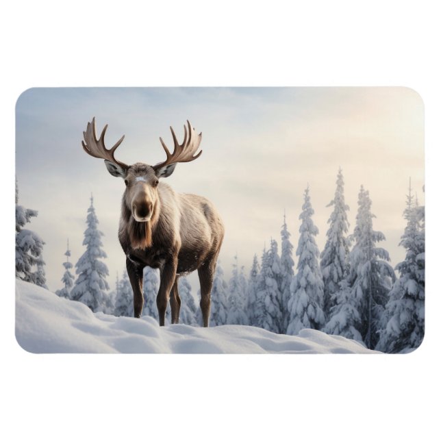 Íman Magnet-Moose (Horizontal)