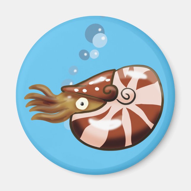 Íman Magnet Nautilus Chambered (Frente)