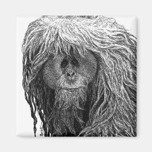 Íman Magnet Orangutan