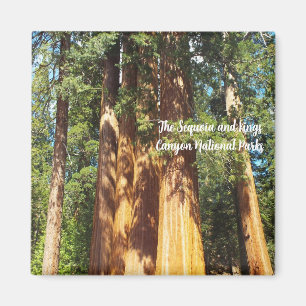 Íman Magnet Os Parques Nacionais Sequoia e Kings Canyon