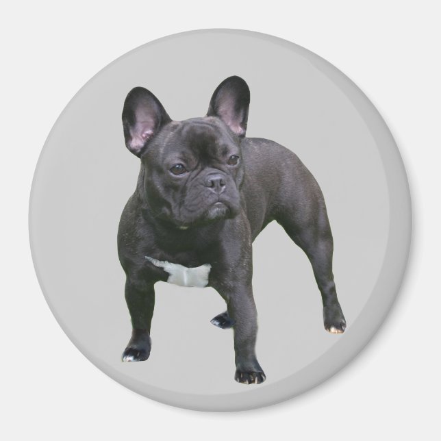 Íman Magnet para Bulldog Francês (Frente)