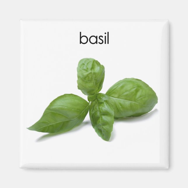 Íman Magnet para Frigorífico de Basil (Frente)
