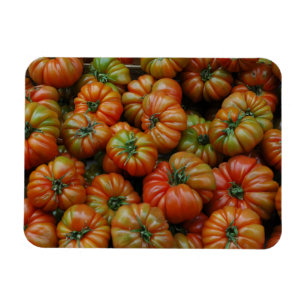 Íman Magnet para tomates