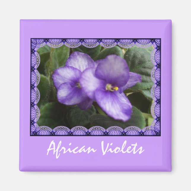 Íman Magnet para Violetas Africano (Frente)
