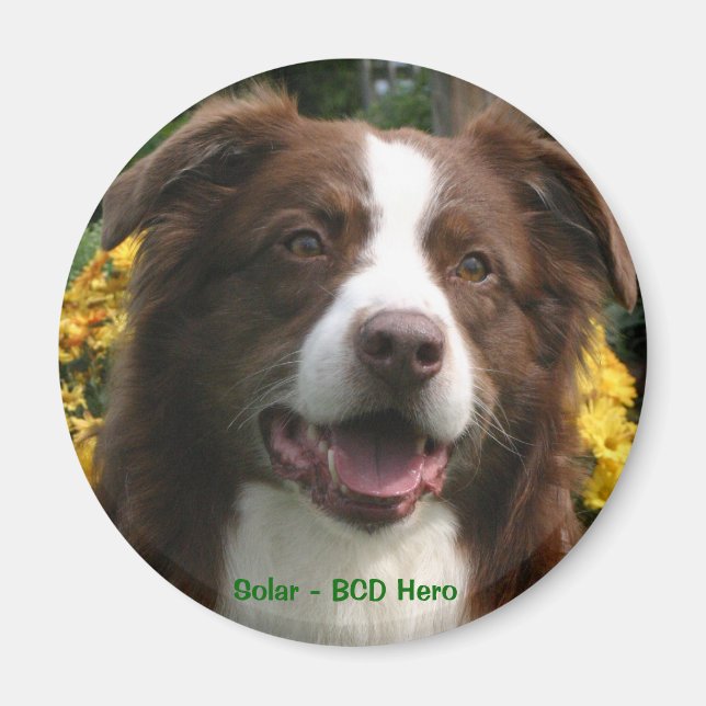 Íman Magnet Personalizável (Frente)