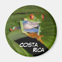 Magnet Personalizável do Sapo de Olhos Vermelhos