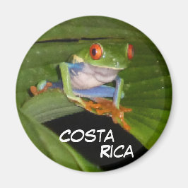 Íman Magnet Personalizável do Sapo de Olhos Vermelhos
