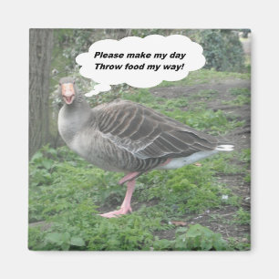 Íman Magnet Poem Duck Cote Ladee Basset