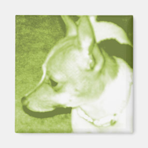 Íman Magnet Pop de arte verde Chihuahua