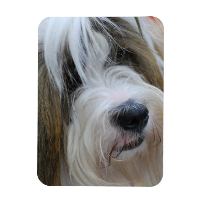 Íman Magnet Premium - Personalizado (Vertical)
