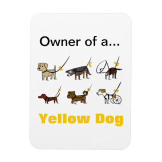 Íman Magnet Proprietário