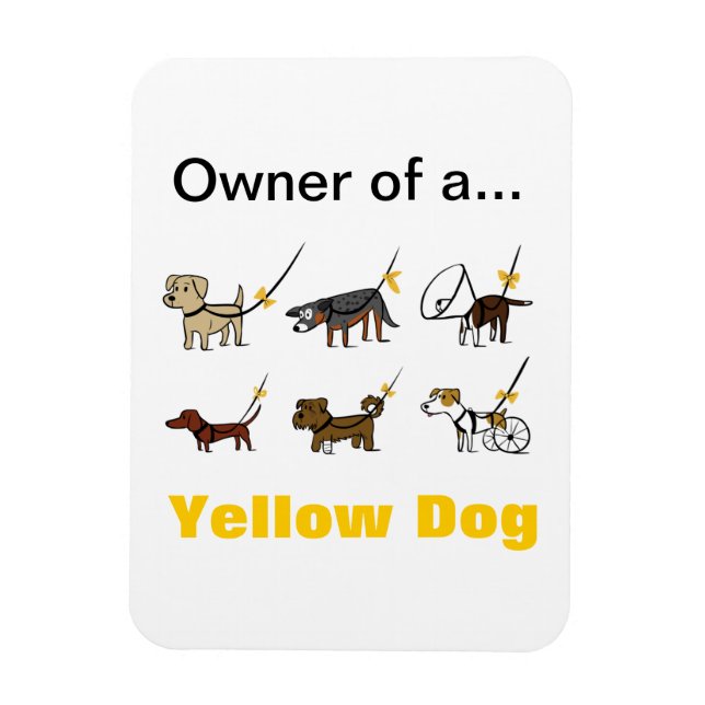 Íman Magnet Proprietário (Vertical)