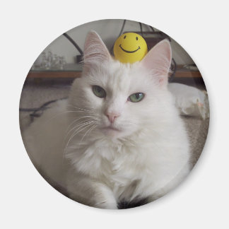 Íman Magnet "Purrl"