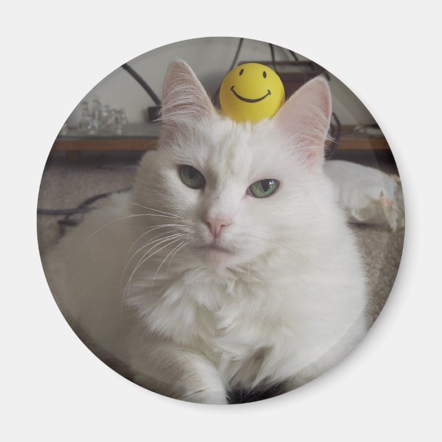 Íman Magnet "Purrl" (Frente)