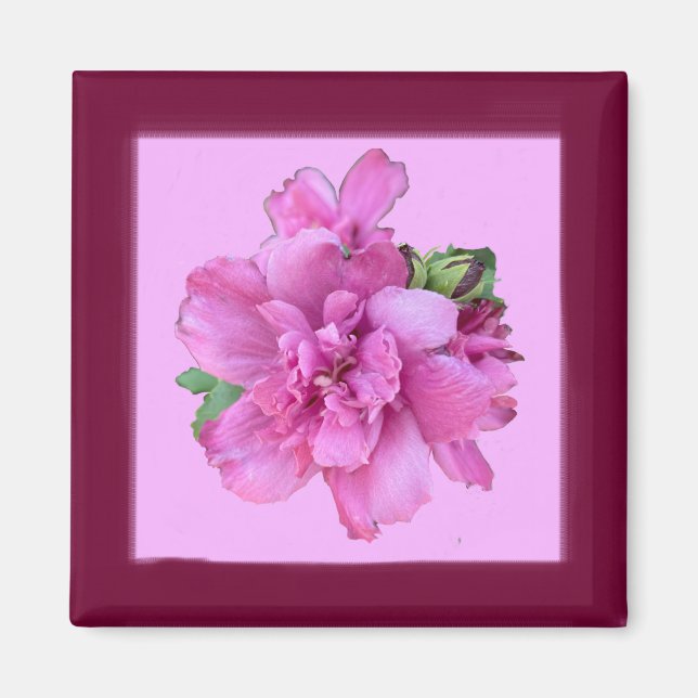 Íman Magnet Quadrado da Lucy Rosa (Frente)