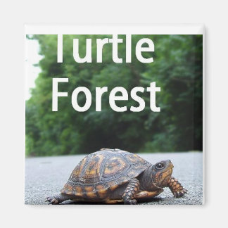 Íman Magnet Quadrado - Personalizado