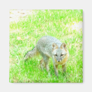 Íman Magnet Quadrado - Personalizado