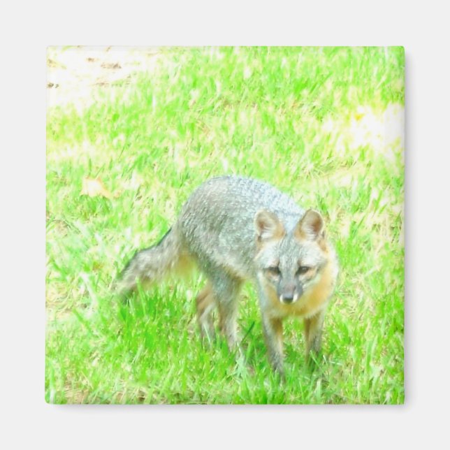 Íman Magnet Quadrado - Personalizado (Frente)