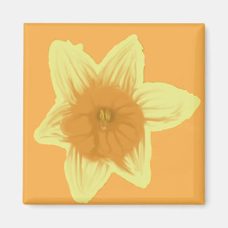 Íman Magnet Quadrado Personalizável do Daffodil